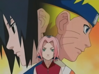 team 7